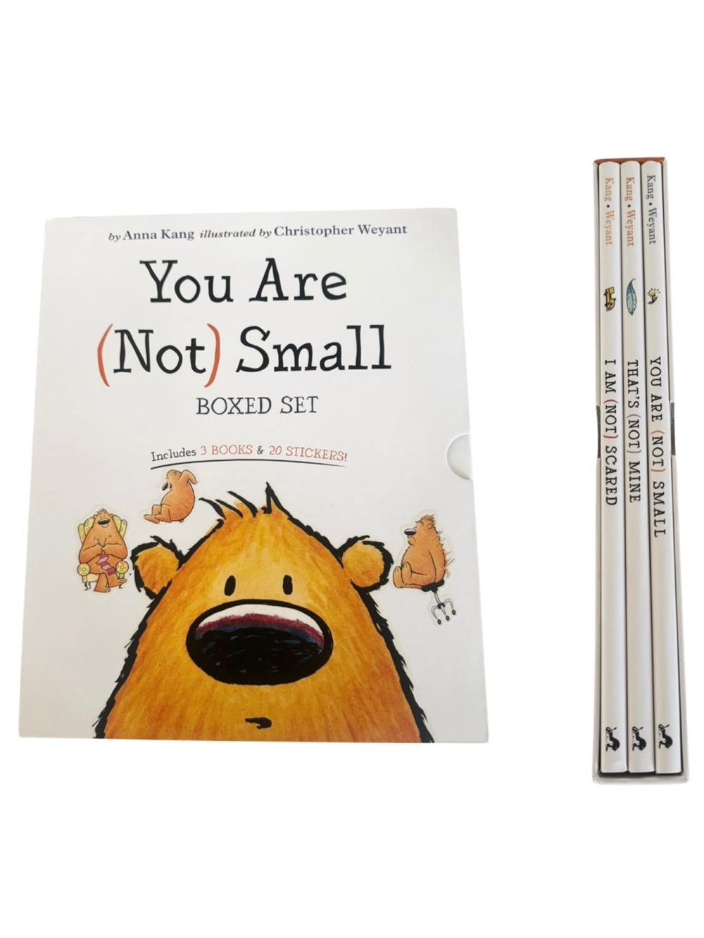 You Are Not Small Boxed Set by Anna Kang